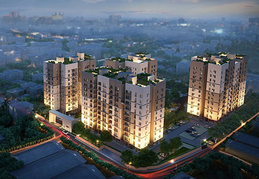 video image